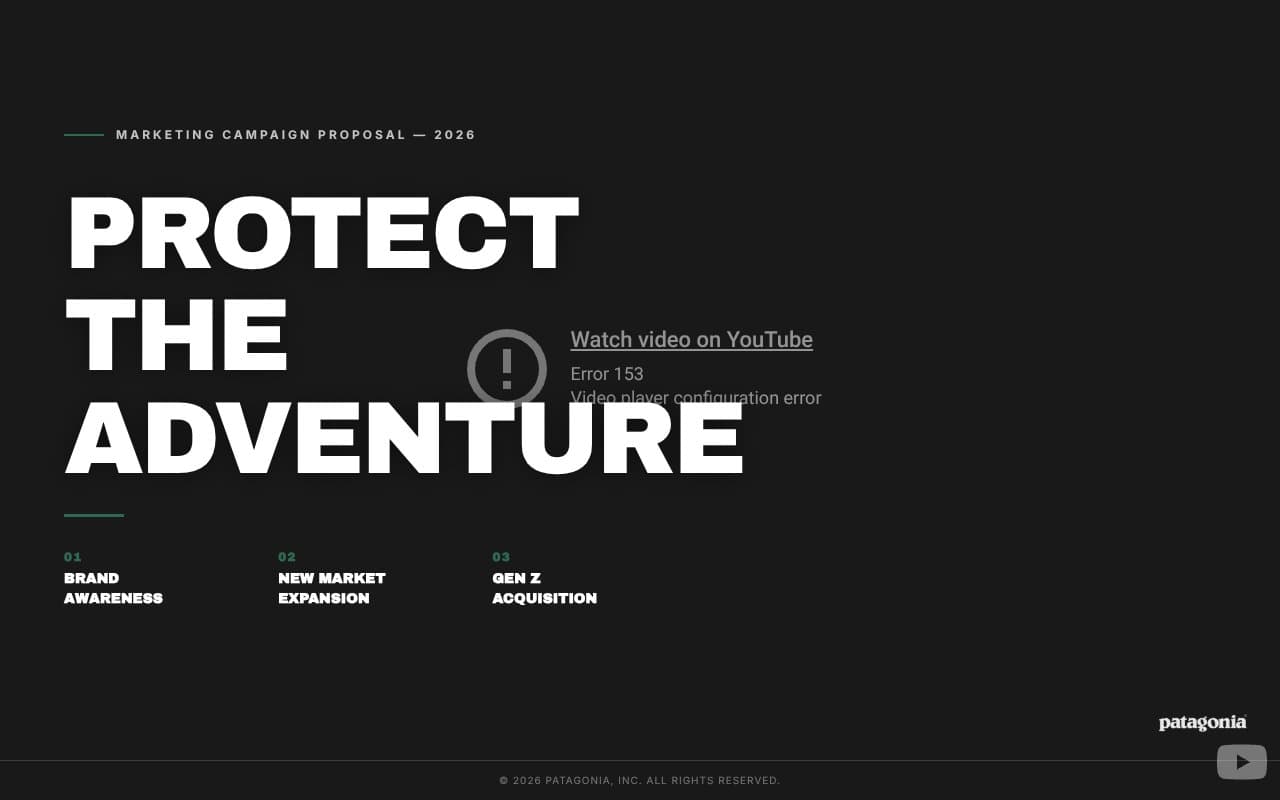 Patagonia Marketing Plan — TGM598